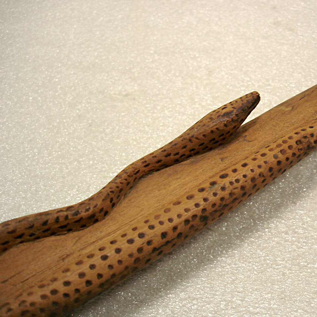 African snake stick