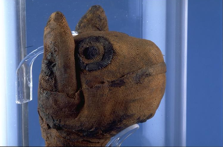 Sacred animals of ancient Egypt | Reading Museum