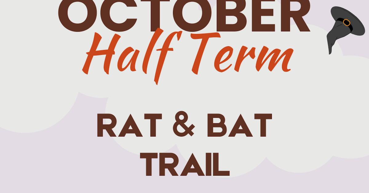 The Rat and Bat Trail at Reading Museum | Reading Museum